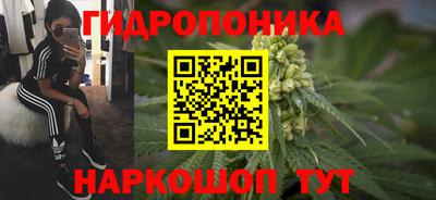 МДПВ Старая Купавна